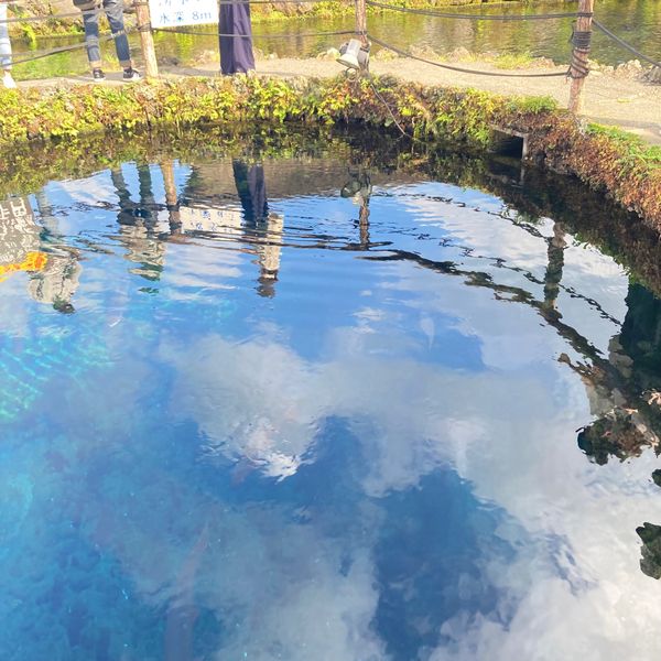 日本・山梨県「山梨日帰り旅行」の写真