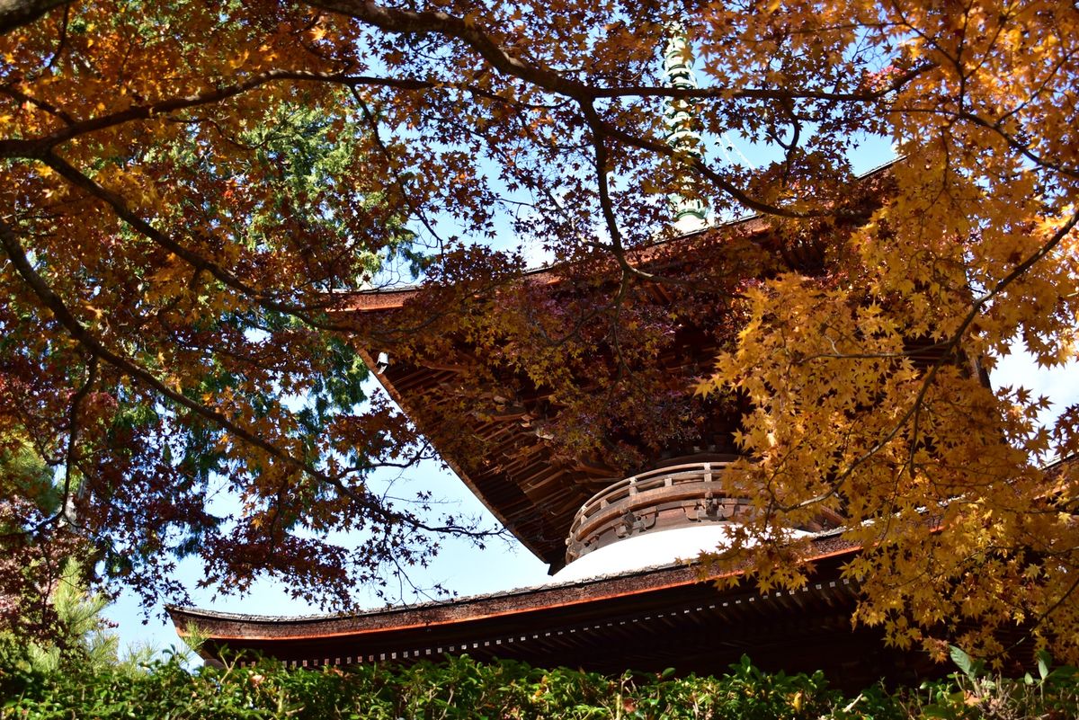 渡月橋
嵐山
東寺