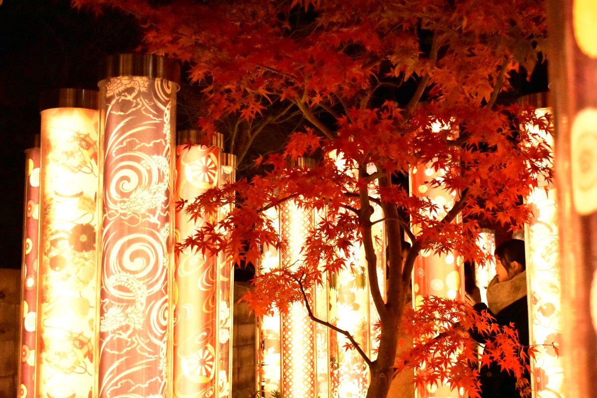 天龍寺
渡月橋
着物フォレスト
竹林の小径