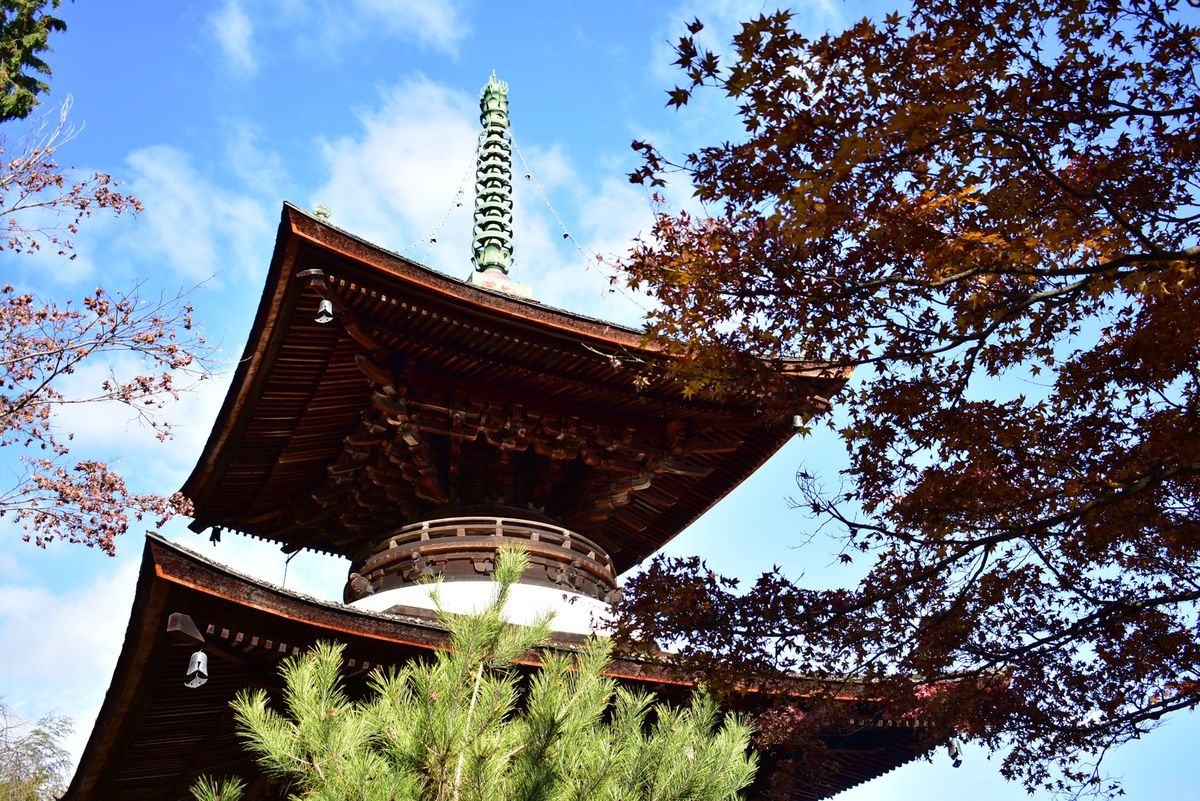 渡月橋
嵐山
東寺