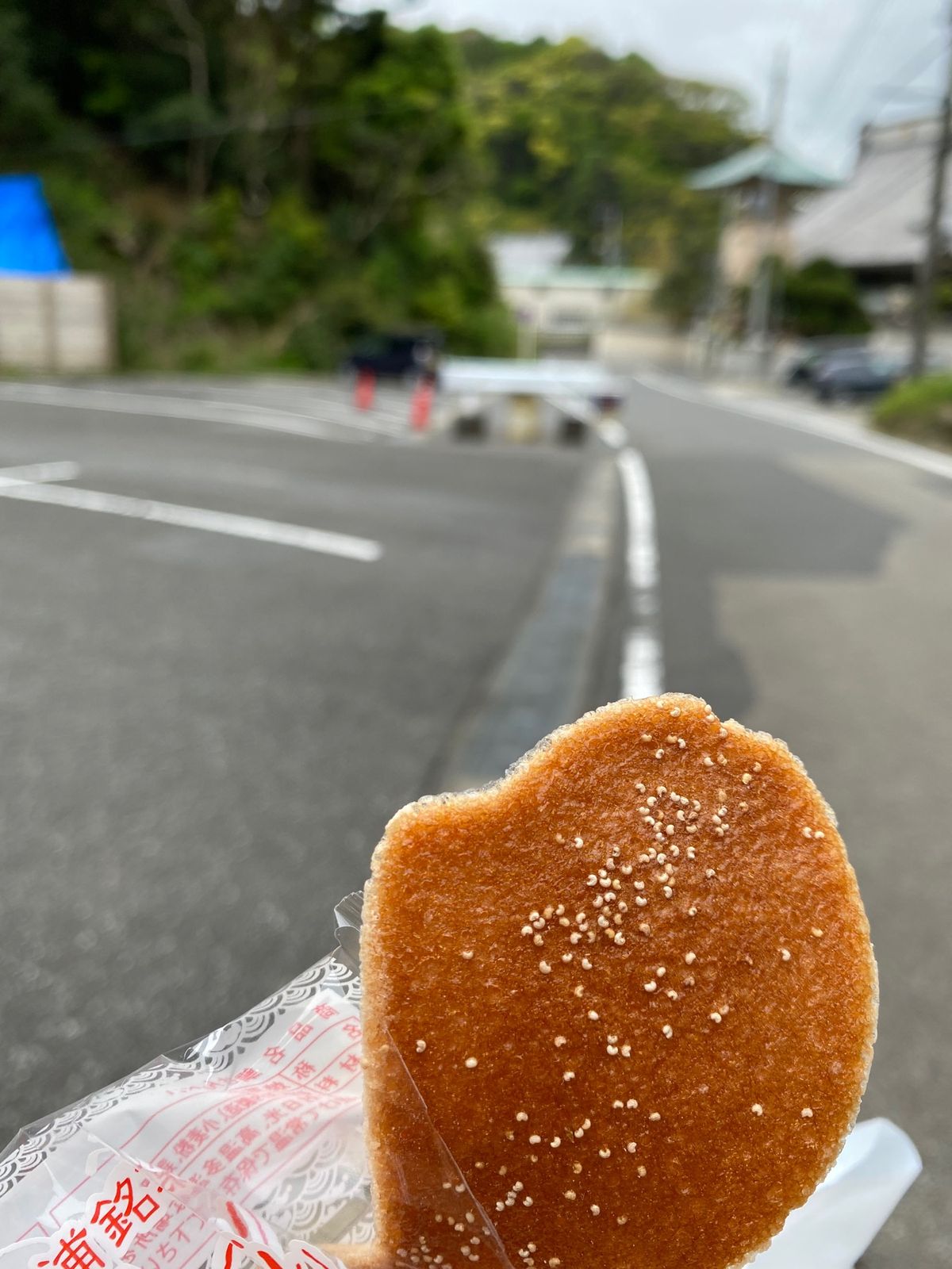 GW房総一泊二日旅行(4)
誕生寺のそばの駐車場に停めると
駐車場のおばち...