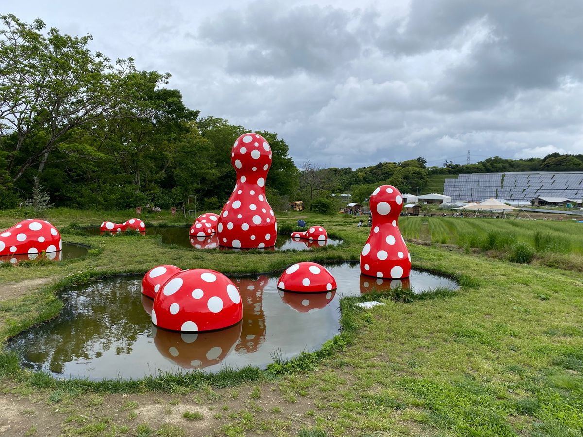 近場旅行
最初は本当に近場で気になりつつ行っていない
クルックフィールズへ...