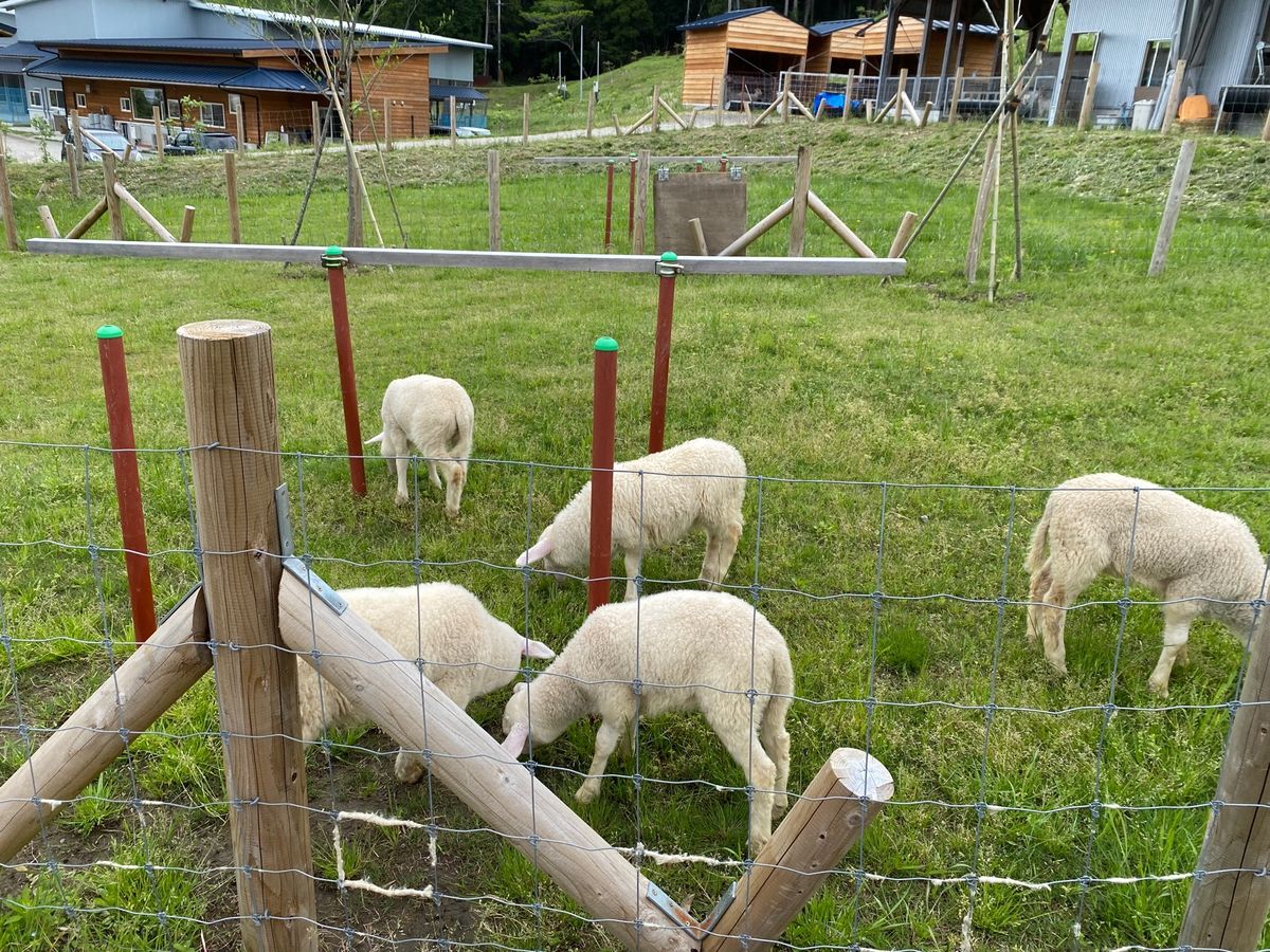 近場旅行
最初は本当に近場で気になりつつ行っていない
クルックフィールズへ...