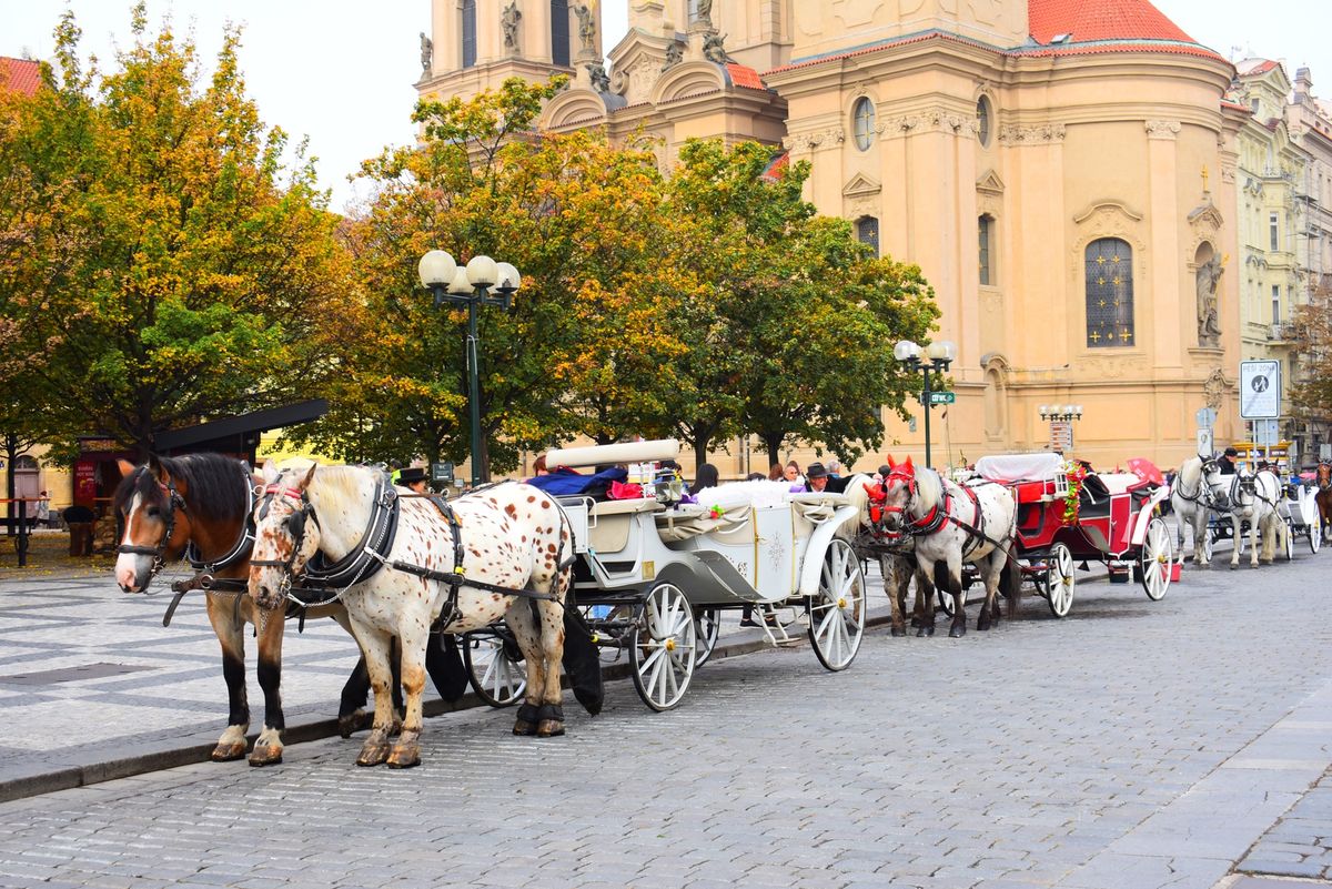 旧市街広場
ティーン教会