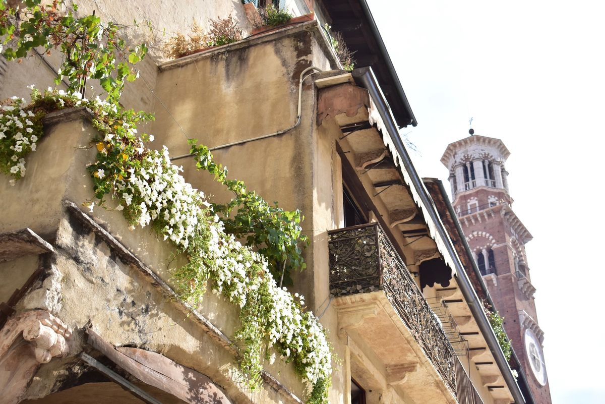 ヴェローナの街並み