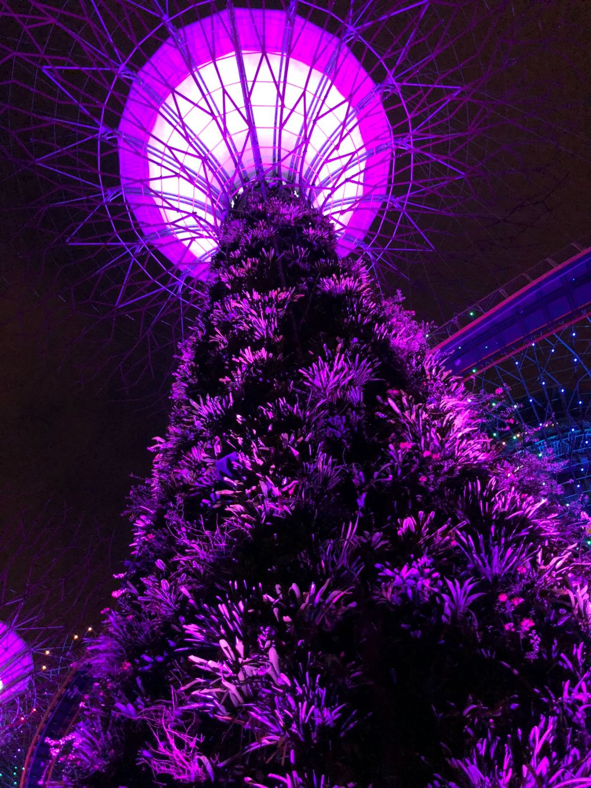 Gardens　By　The　Bay
ライトアップ
