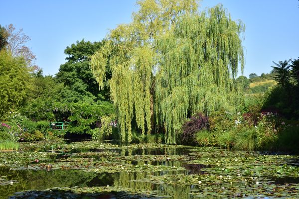 フランス・シャルトル「ジヴェルニー、シャルトル旅行」の写真：モネの庭