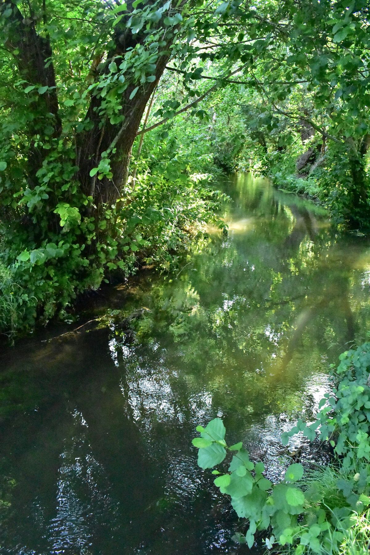 ジヴェルニーの街並み