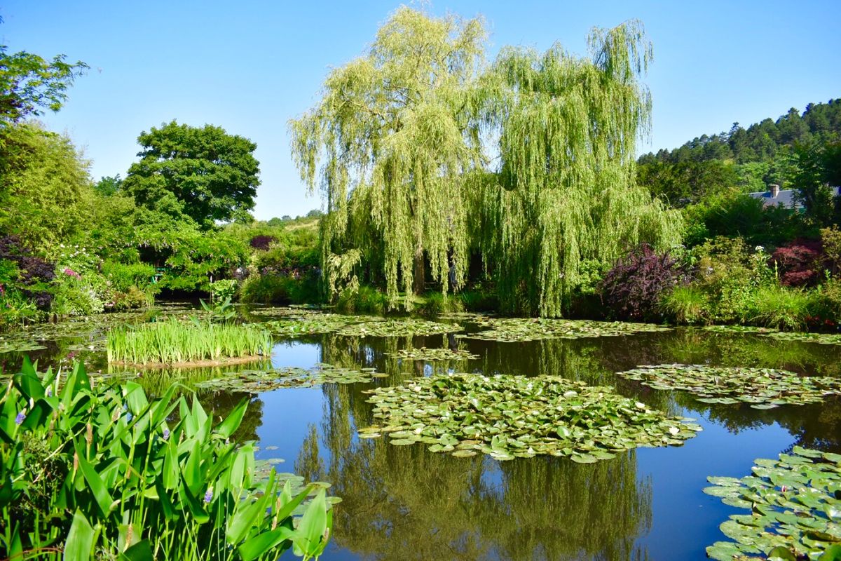 モネの庭