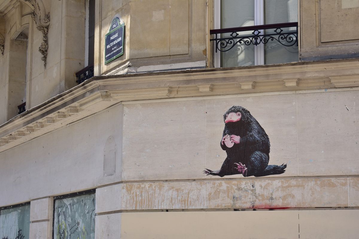 マレ地区　ニフラーを探して