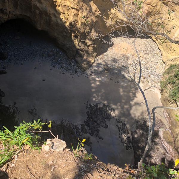 日本・伊豆「伊豆ダイビング」の写真：竜宮窟
