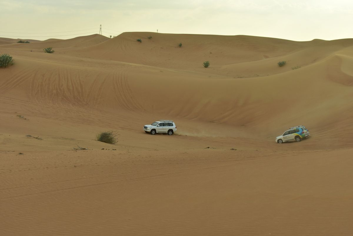 デザートサファリ