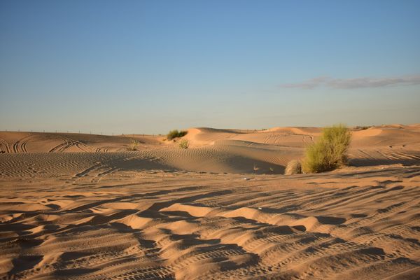 アラブ首長国連邦・ドバイ「ドバイ旅行」の写真：デザートサファリ