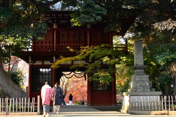 日本・千葉県「松戸紅葉狩り」の写真