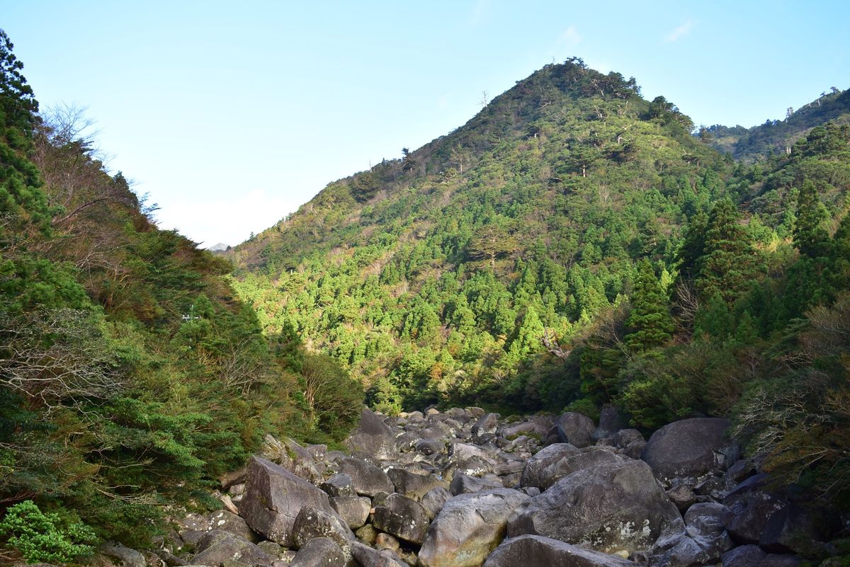 縄文杉への道のり