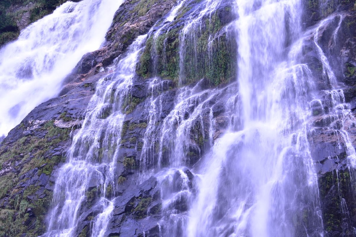 屋久島ドライブ