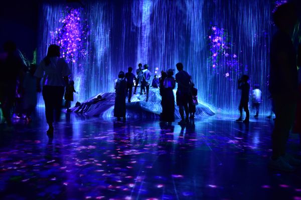 日本・東京都「チームラボ Borderless」の写真
