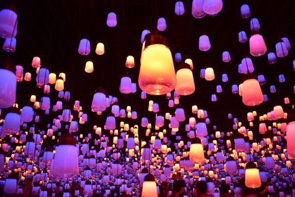日本・東京都「チームラボ Borderless」の写真：ランタン祭り