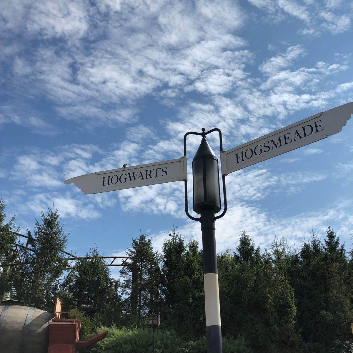 魔法界に迷い込み