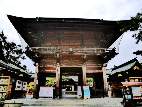 日本「新潟 旅行」の写真