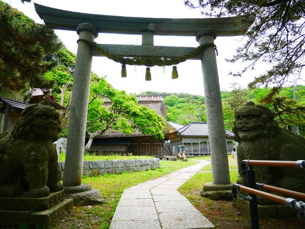 日本「新潟 旅行」の写真