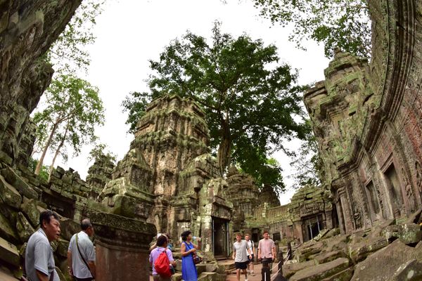 カンボジア・シェムリアップ「カンボジア旅行」の写真：タプローム遺跡