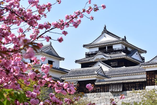 日本・愛媛県「愛媛旅行」の写真：松山城