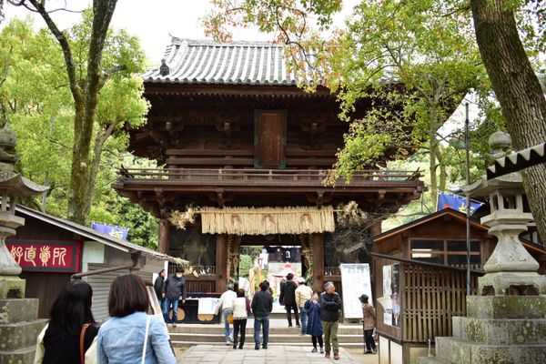 日本・愛媛県「愛媛旅行」の写真