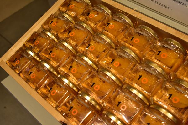 日本・愛媛県「愛媛旅行」の写真：10factory