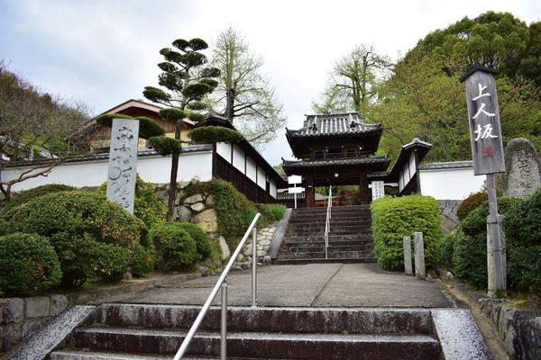 日本・愛媛県「愛媛旅行」の写真