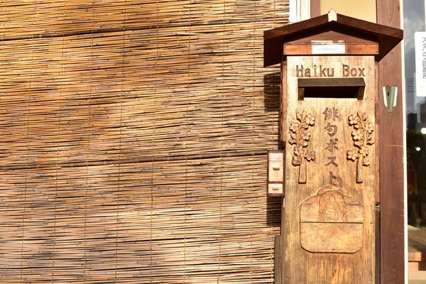 日本・愛媛県「愛媛旅行」の写真