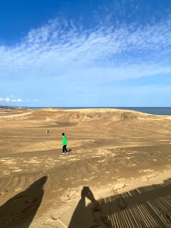 「鳥取」の写真