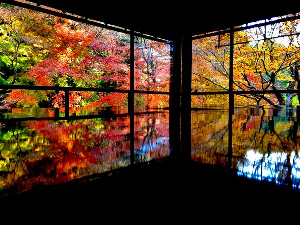 日本・京都府「瑠璃光院」の写真