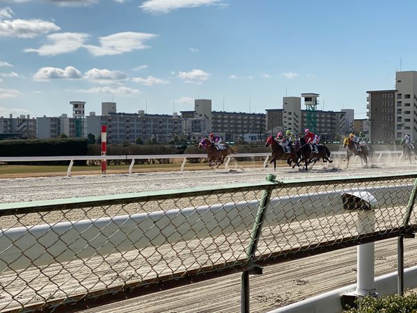 日本・愛知県「卒業旅行」の写真