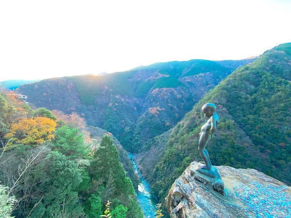 日本・徳島県「日本」の写真