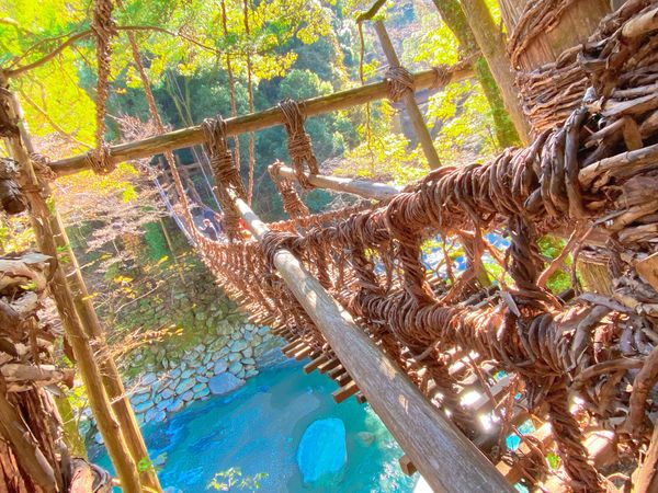 日本・徳島県「日本」の写真