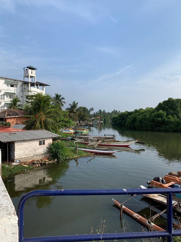 シンガポール・Singapore「Singapore, Srilanka, Bangkok」の写真