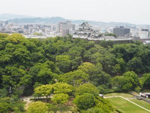 ⭐︎観光⭐︎
・ホテル20階から見える和歌山城
・三段壁
・千畳敷
・曇り...