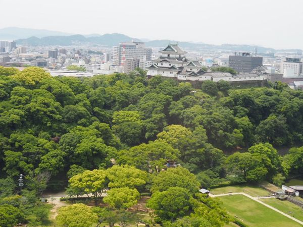 日本・アドベンチャーワールド「前乗り一泊　和歌山県」の写真：⭐︎観光⭐︎
・ホテル20階から見える和...