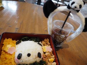 ⭐︎アドベンチャーワールド⭐︎
・入園後すぐにパンダカチューシャGet
・...