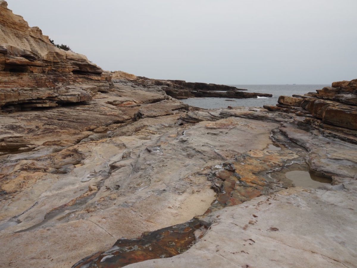 ⭐︎観光⭐︎
・ホテル20階から見える和歌山城
・三段壁
・千畳敷
・曇り...
