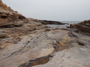⭐︎観光⭐︎
・ホテル20階から見える和歌山城
・三段壁
・千畳敷
・曇り...