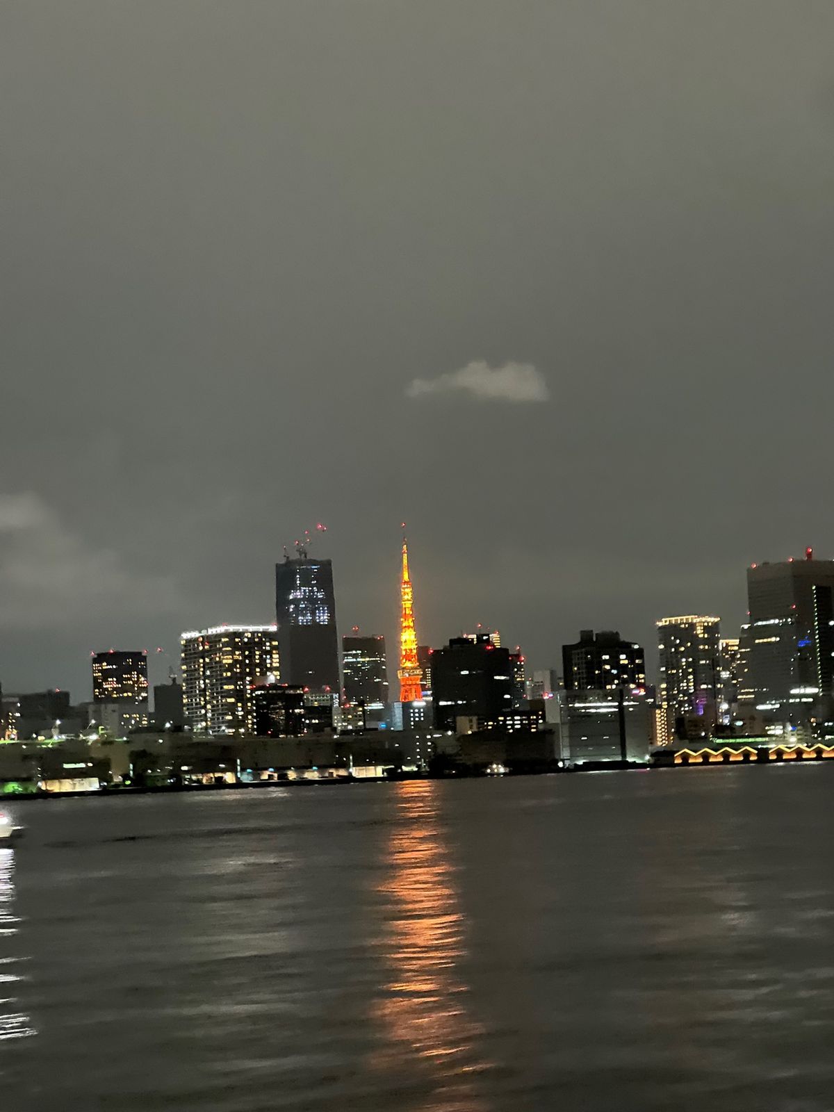 お台場前で停泊しBBQ スタート
夜はお台場とレインボーブリッジと東京タワ...