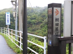 あいにくの雨ですがきれいな風景が見れました