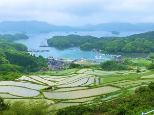 あいにくの雨ですがきれいな風景が見れました