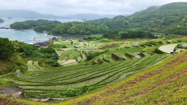 「佐賀　棚田巡り」の写真：あいにくの雨ですがきれいな風景が見れました