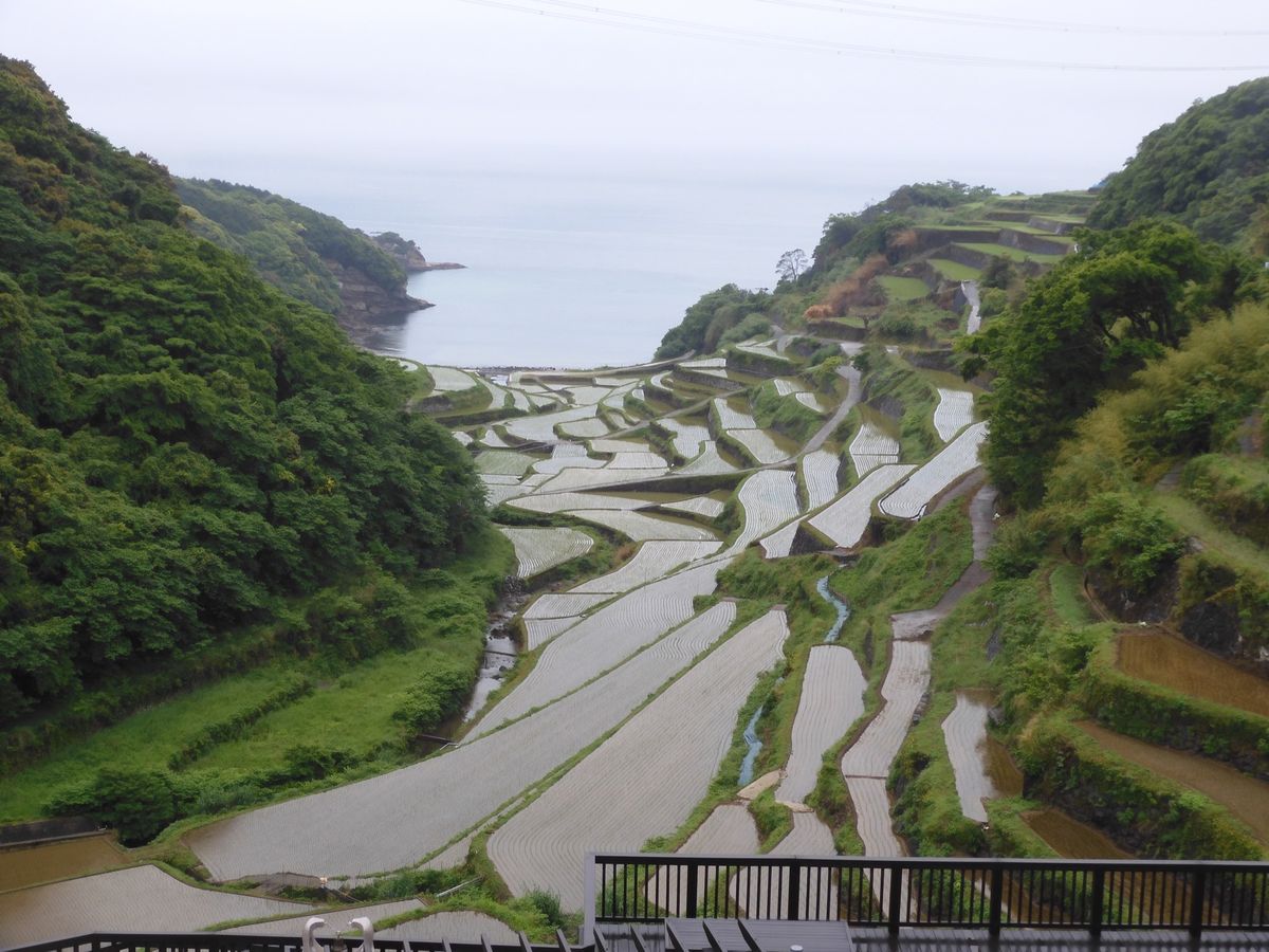 あいにくの雨ですがきれいな風景が見れました