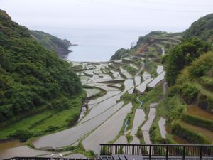 あいにくの雨ですがきれいな風景が見れました