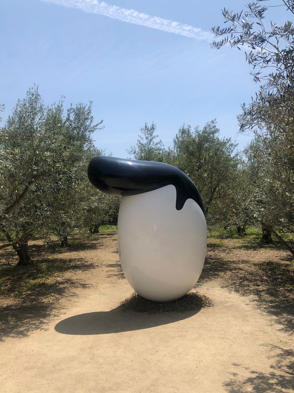 日本・香川県「3年ぶりの小豆島」の写真