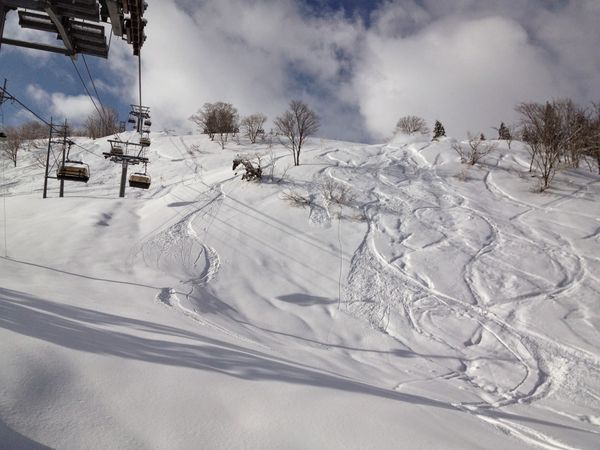 日本・新潟県「シャルマンtrip」の写真